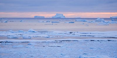 Unveiling the Antarctic ‘plastisphere’, a unique and potentially hazardous new ecosystem – new research