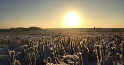 When is the shortest day of the year 2024? See when winter solstice takes place