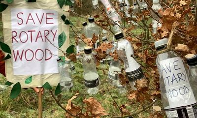 Harrogate Spring Water planning to cut down wood planted by schoolchildren