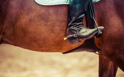 Best horse riding boots to suit your style and budget, tried and tested