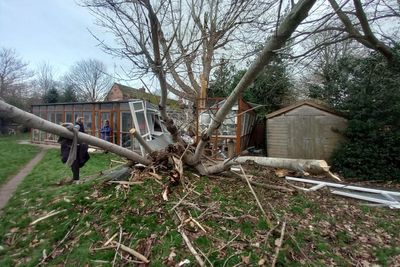 Cat sanctuary raises £12,000 to restore a ‘demolished’ pen after Storm Darragh