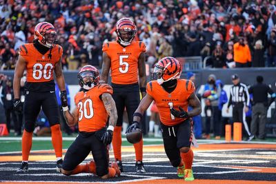 Bengals slim playoff hopes remain alive in Week 15 standings