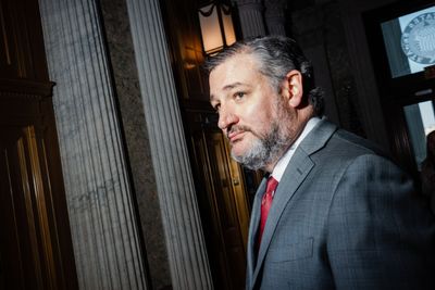 Cruz: CEO shooter proves leftism disease