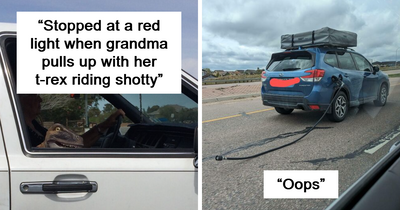 70 Times People Saw Something Interesting On The Road And Just Had To Take A Pic (New Pics)