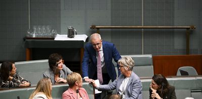 View from The Hill: another Liberal moderate to leave Dutton team