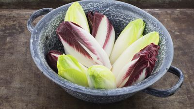 How to grow chicory for tangy leafy greens to spice up cold season dishes