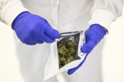 'Huge Demand': Portugal Dreams Of Becoming Medical Cannabis Hub