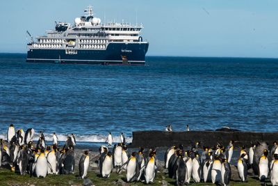 My epic Antarctica voyage ended in angry protests – but I loved every minute of this beautiful adventure