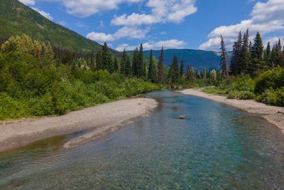 Dog’s return only adds to mystery of Canadian man missing in wilderness