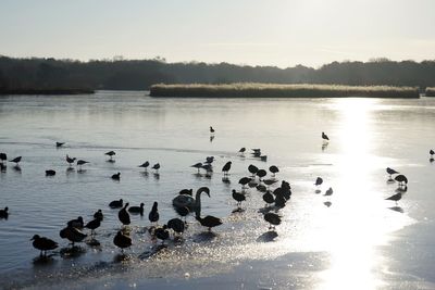 Much of England’s nature continues to decline, official figures show