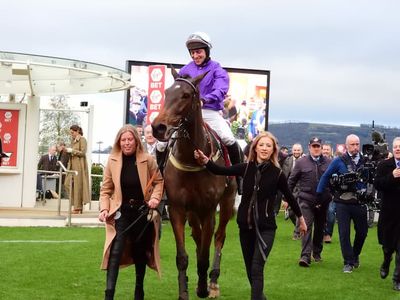 3 Big December Gold Cup Trends To Say Fugitif CAN'T Win