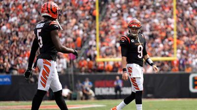 Joe Burrow Makes Strong Statement About Tee Higgins’s Future With Bengals After Win