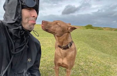 Liam Gallagher receives PETA Award for adopting rescue dog Buttons