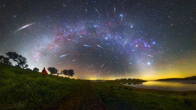 Geminid meteor shower fills the sky with 'shooting stars' in spectacular time-lapse photos