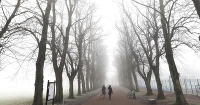 Yellow weather warning issued across parts of Scotland as fog descends