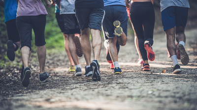 Trail runners and hikers come together to restore wildfire-damaged trails in Connecticut