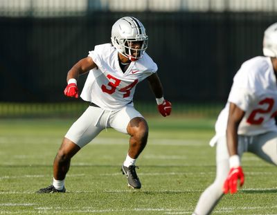 Former Ohio State transfer and current Tennessee player compares Ohio Stadium atmosphere to SEC