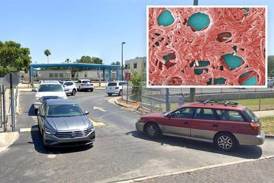 Florida school classrooms vacated after teacher dies of Legionnaires disease