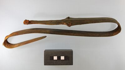 Ritually bent Bronze Age sword unearthed in Danish bog is 'very rare find'