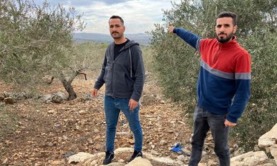 Why settler intimidation of West Bank farmers is about far more than the olive harvest