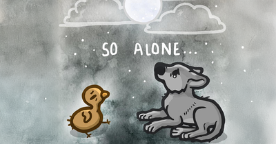 “How Turkey Met Wolf”: A Comic By Kitty Moon That Might Touch Your Heart