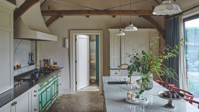 I can't change my dated rental kitchen but this simple countertop addition instantly makes it look so much better