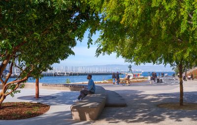 A vibrant new waterfront park opens in San Francisco