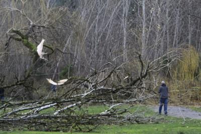 U.S. East Coast Braces For Severe Weather Whiplash