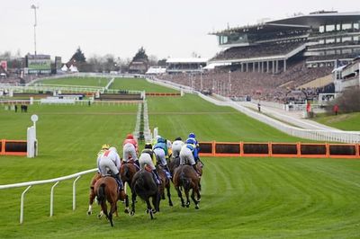 Andy Newton's Horse Racing Trends For Cheltenham On Friday