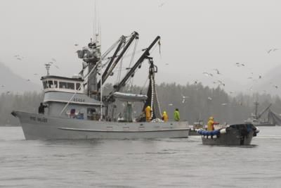 Two Bodies Recovered From Capsized Fishing Boat In Alaska