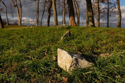 The burial site of slaves owned by a former US president has finally been found