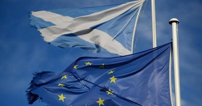 ‘Everybody loses out’: Scottish businesses face challenges with new Brexit rule