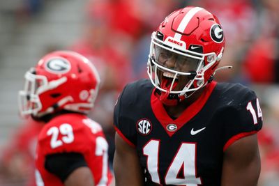 Former Georgia TE enters the transfer portal for third time