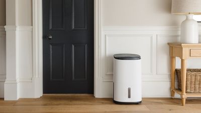 How long does a dehumidifier take to dry out a room? Plus, the 5 things that can speed it up