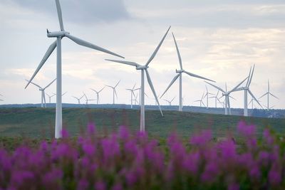 Improve consenting process to meet wind power targets, report suggests