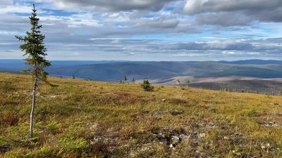 The Arctic is changing. And not for the better, scientists say