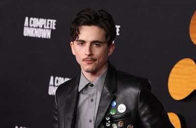 Timothee Chalamet felt 'validated' by Bob Dylan's praise