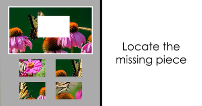 Finding The Missing Piece Trivia – Locate The Cut-Out Parts In 15 Images