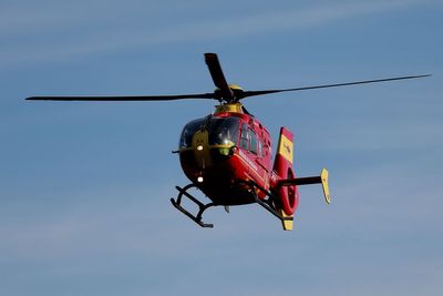 Baby girl airlifted to hospital after being bitten by XL bully