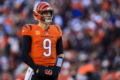 Joe Burrow puts even more pressure on Bengals about Tee Higgins