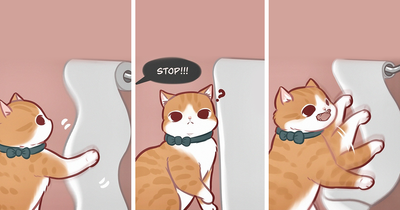 Artist Illustrates Cat Videos In 4-Panel Comics, And The Results Are Hilariously Cute (20 Pics)