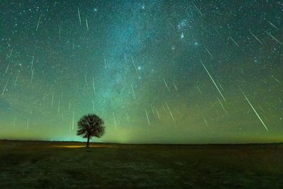 Geminid meteor shower peak offers rare chance to see green shooting stars