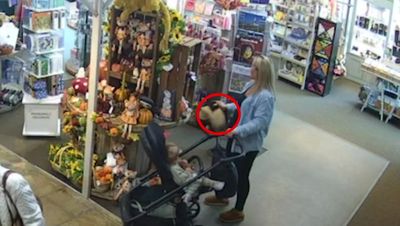 Brazen Jellycat thief caught stuffing toys in pram to steal from garden centre