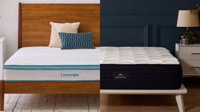 DreamCloud vs Linenspa 8” Memory Foam Hybrid: Which budget mattress is right for you?