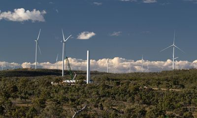 Turbine bat deaths could fall without loss of power if wind speed triggers were raised, Victorian research finds