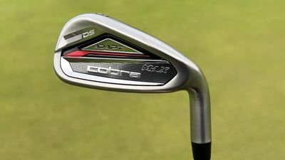 Cobra DS-ADAPT Max Iron Review