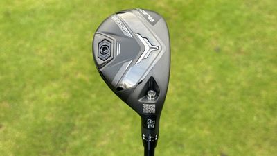 Cobra DS-ADAPT Hybrid Review