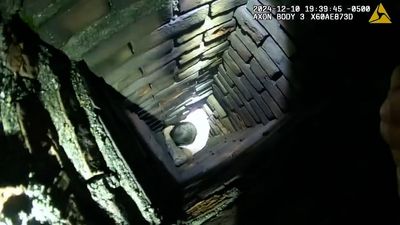 Fugitive gets stuck in chimney trying to hide from police