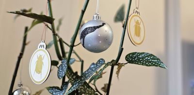 Decorating your Christmas tree? Try these crafts inspired by Aussie plants and animals