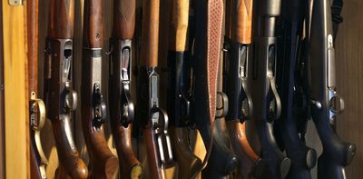 From ‘ghost guns’ to gangs, 5 lessons from Canada for NZ firearms reform